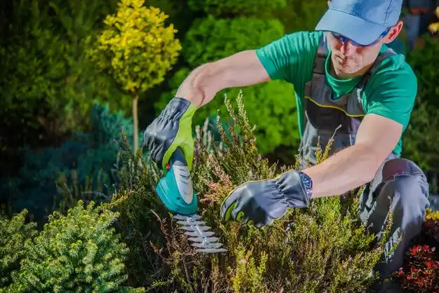 landscaping services Glens Falls
